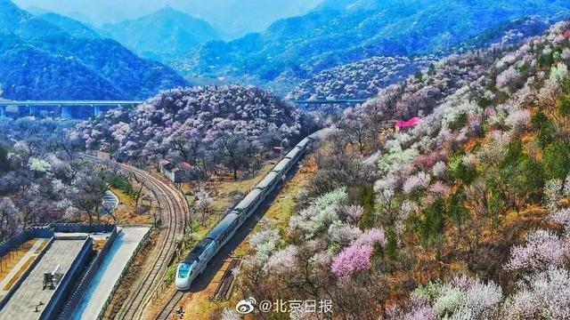 列车运行时刻表（北京市开往春天的列车） 3