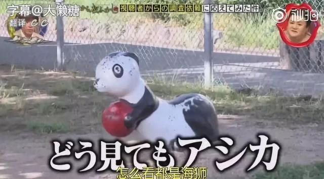熊猫赚钱（日本熊猫财团） 14