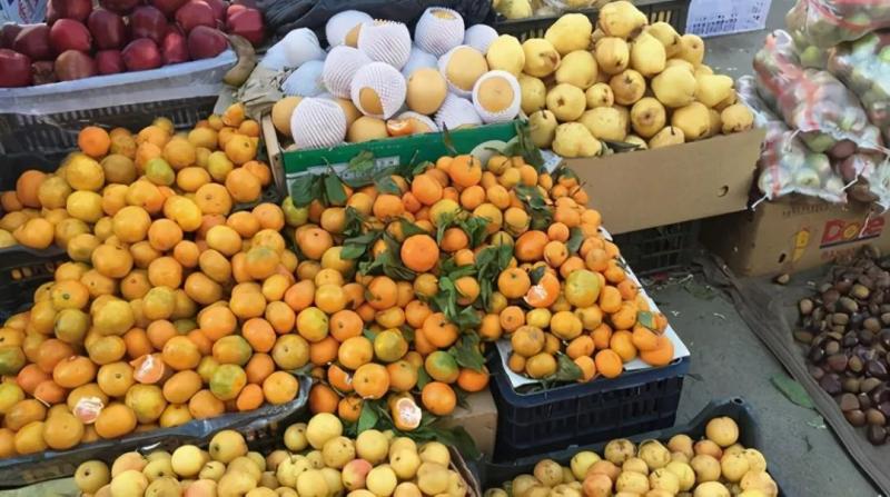 橘子大量上市，怎么能挑到水分充足还甜的橘子？用这5个技巧试试 1