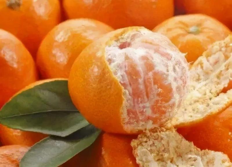 橘子大量上市，怎么能挑到水分充足还甜的橘子？用这5个技巧试试 6